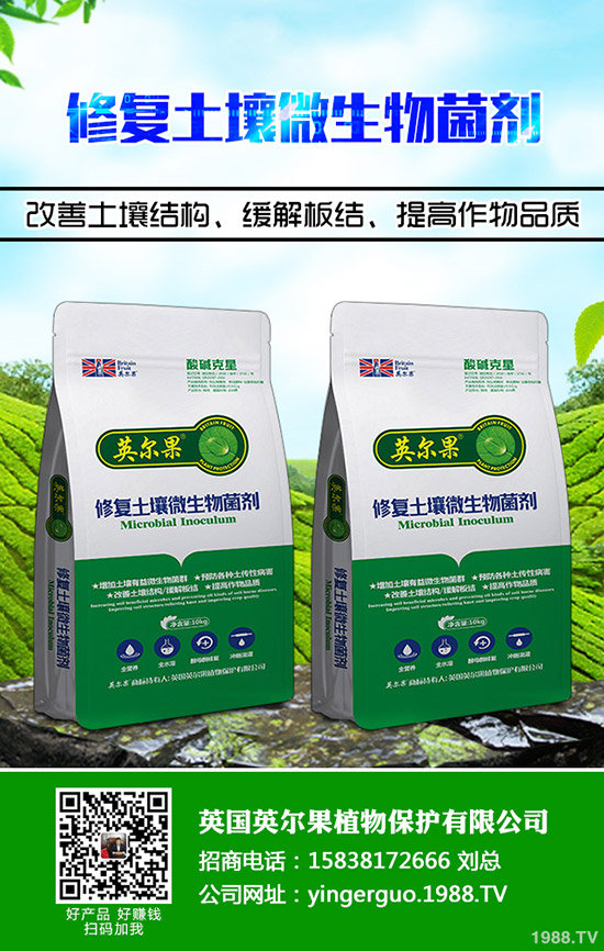 2019年10月31日今日最新各地區(qū)尿素主流出廠報(bào)價(jià)一覽