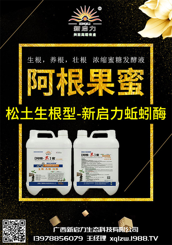 甘藍黑脛病有哪些危害?秋甘藍病害的發(fā)生與防治技巧