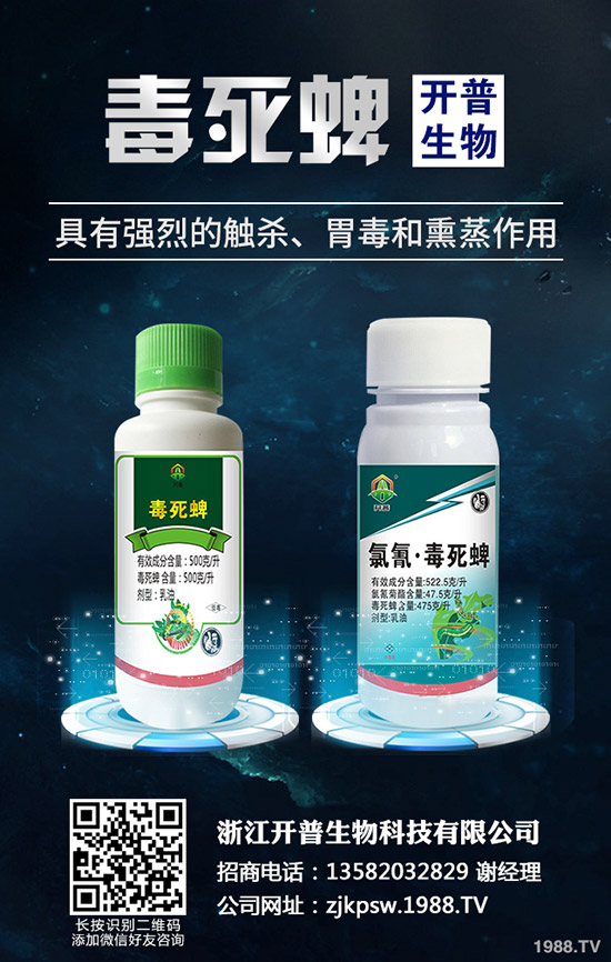 秋季種植哪些蔬菜好,秋季蔬菜種植指南!