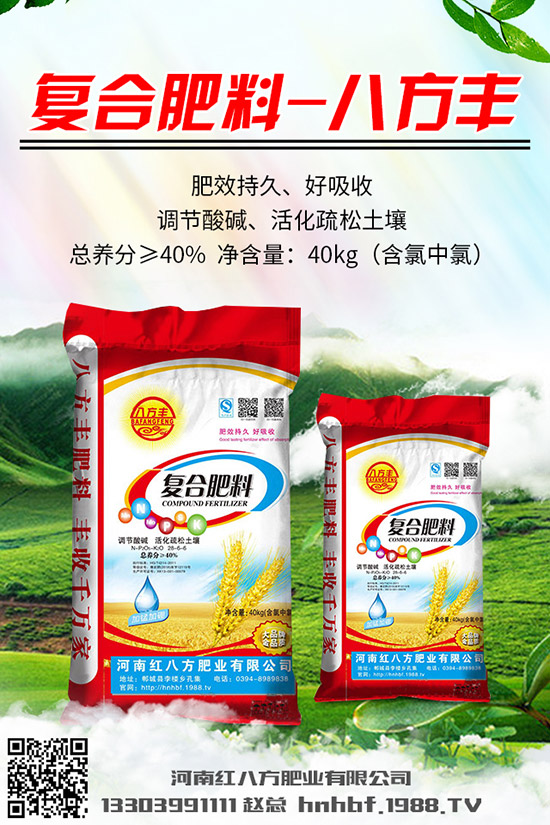 芹菜怎么種？芹菜什么時(shí)候種植好？芹菜種植時(shí)間和方法！