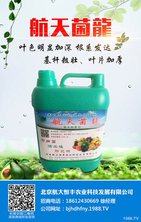 ���ֹϵķNֲ��������Щ�����ֹ���ηNֲ�׸߮a(ch��n)��