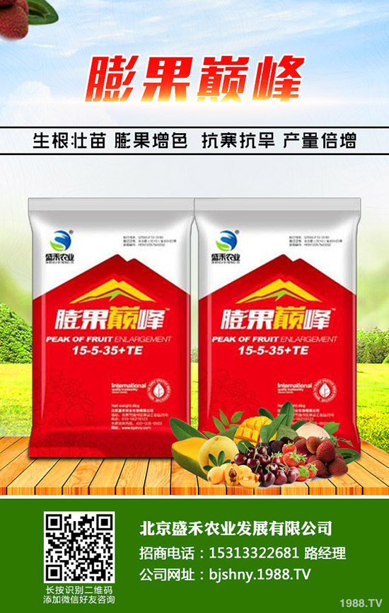 韭菜的種植時(shí)間是什么時(shí)候，韭菜的種植要點(diǎn)您了解嗎？