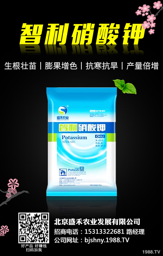 �ڶ�ʲô�r��Nֲ���ڶ��ķNֲҪ�c����Щ��