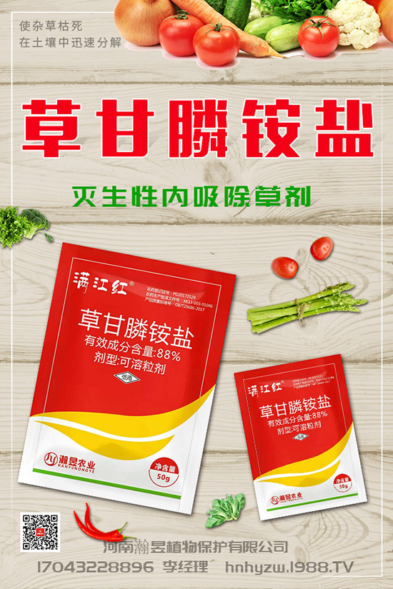 草莓根腐病得了根腐病咋辦？草莓根腐病發(fā)生條件、發(fā)病發(fā)癥狀及防治！