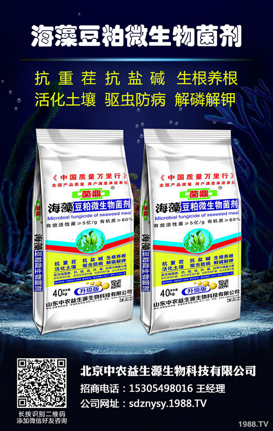 注意了!12月農(nóng)事安排詳情一覽!十二月種植管理指南!