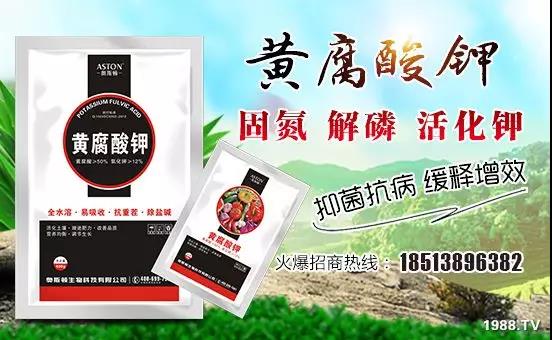 礦源黃腐酸鉀——精品肥!1公斤=8噸有機(jī)肥!新疆源頭直發(fā)?。?!