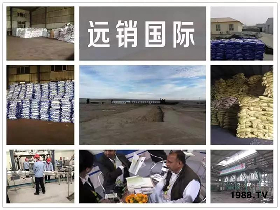 礦源黃腐酸鉀——精品肥!1公斤=8噸有機(jī)肥!新疆源頭直發(fā)!??!