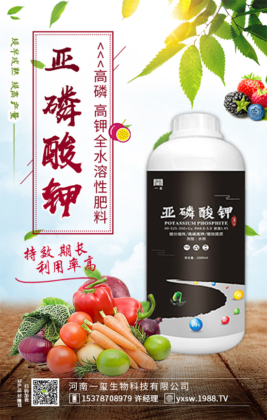 櫻桃樹為什么不結(jié)果？櫻桃樹不結(jié)果實(shí)的的解決方案！