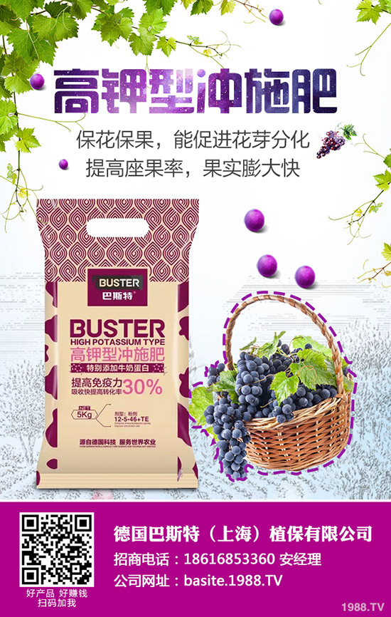 西葫蘆為什么會(huì)化瓜，西葫蘆化瓜原因及防治匯總！