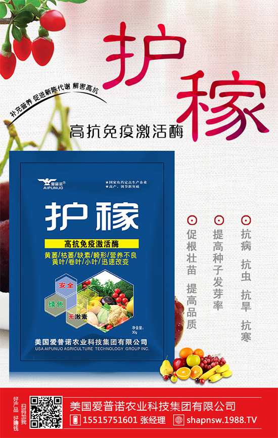 秋冬菠菜種植品種怎么選？越冬菠菜凍藏方法要點(diǎn)！