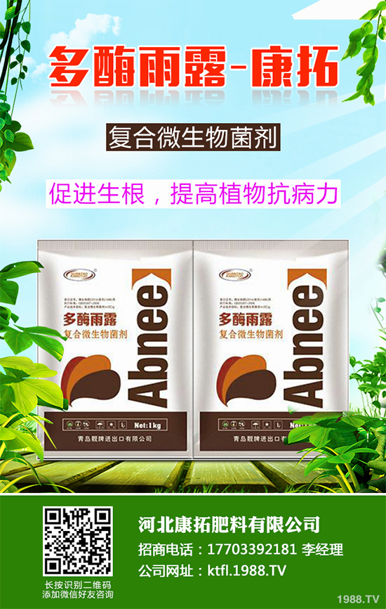 11月份農(nóng)事安排有哪些？2019秋冬蔬菜種植指南