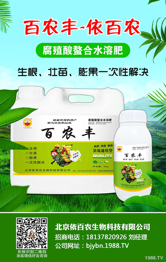 紅薯什么季節(jié)栽種，如何能將紅薯栽種好？