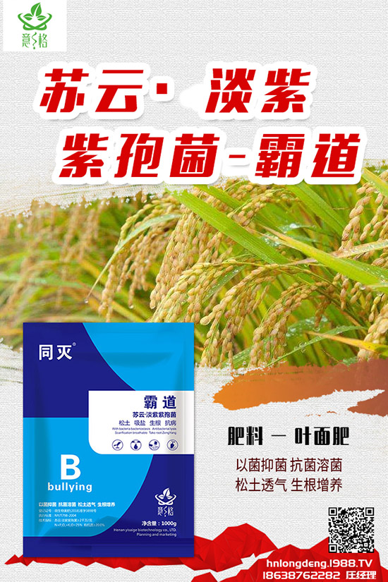 如何種植盆栽玫瑰,盆栽玫瑰的種植方法和注意事項(xiàng)!