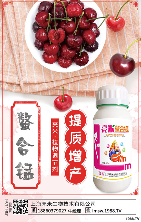 黃秋葵有哪些營養(yǎng)價值?黃秋葵高產(chǎn)栽培技術(shù)