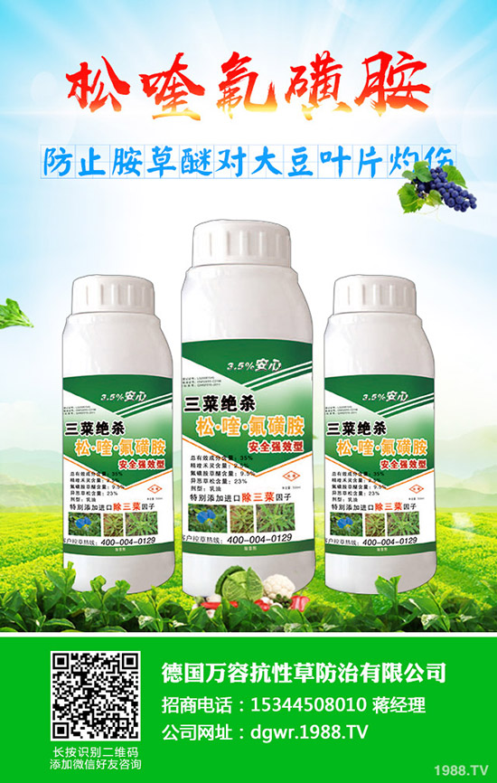 �S��ʲô�r�g�Nֲ���S���ķNֲ��������Щ��