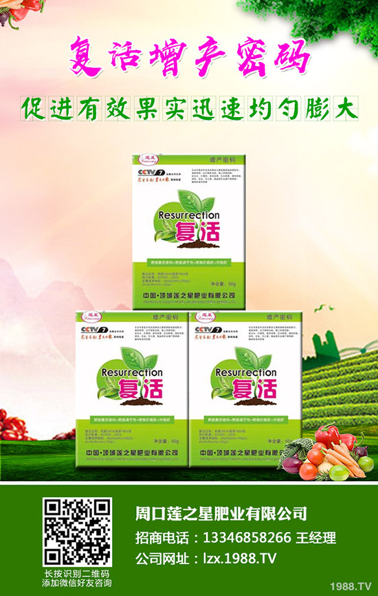 蘿卜種植需要注意哪些事項？啥時候種植比較好？