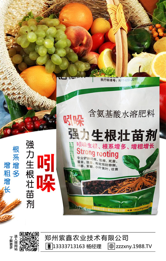 春芝麻種植時間是什么時候嗎？春芝麻種植管理技術(shù)！