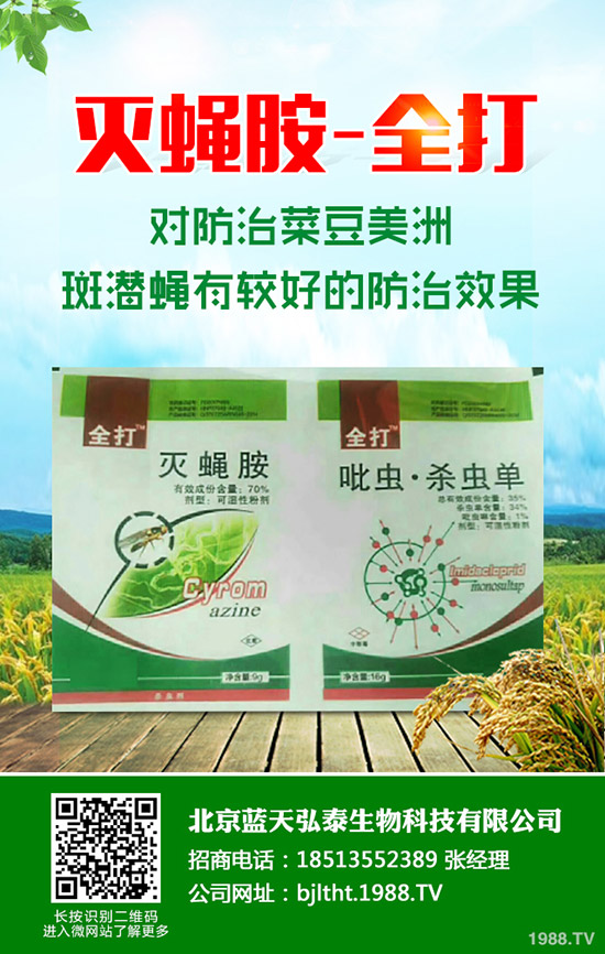 節(jié)瓜是冬瓜嗎?節(jié)瓜如何種植?掌握了這些不會(huì)白忙活!