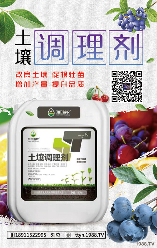 �L����������ô�B(y��ng)���L���������B(y��ng)ֳ����