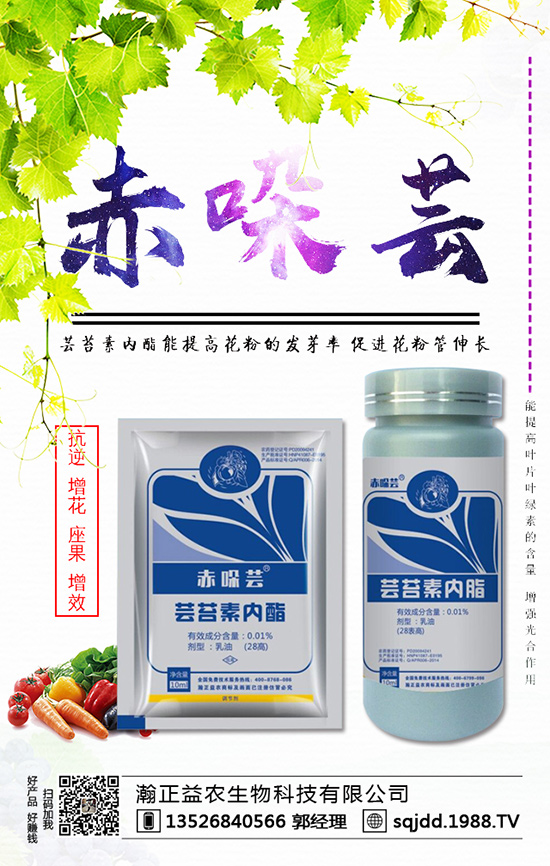 ���t����ʲô����������t��������ķ��η���