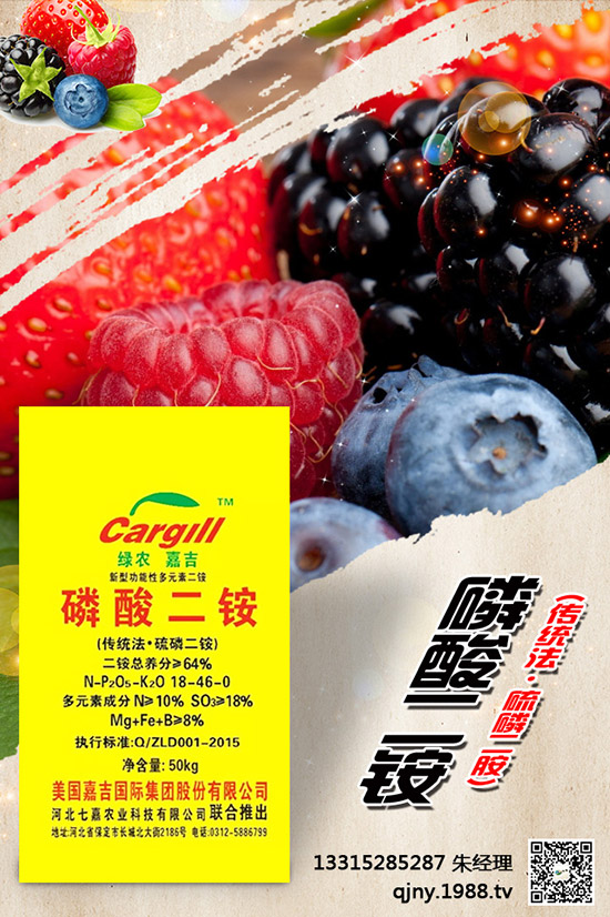 С����ʲô����(ji��)���N������Щ�Nֲ������