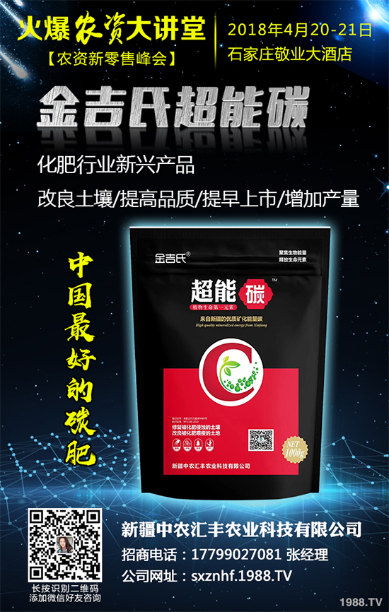 白皮松經濟效益如何？2020白皮松的種植前景分析