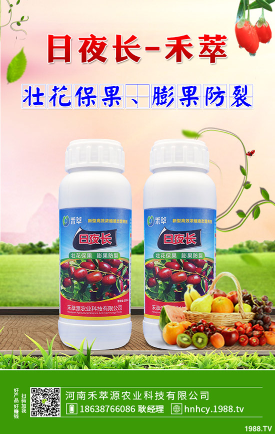 菠菜炭疽病的病因有哪些？菠菜炭疽病的防治要點(diǎn)！