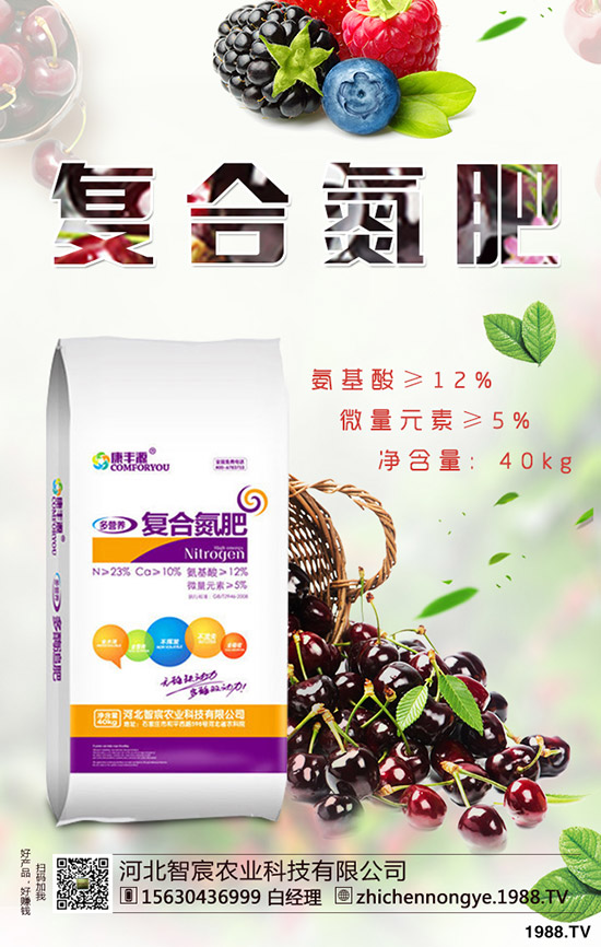 2019.11.29������ӯ̝��߅��ԇ̽���������������Ј���(b��o)�r(ji��)��