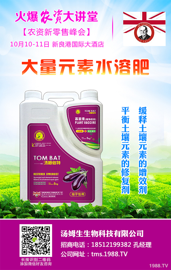     白皮松多少錢一棵呢？有哪些價值？