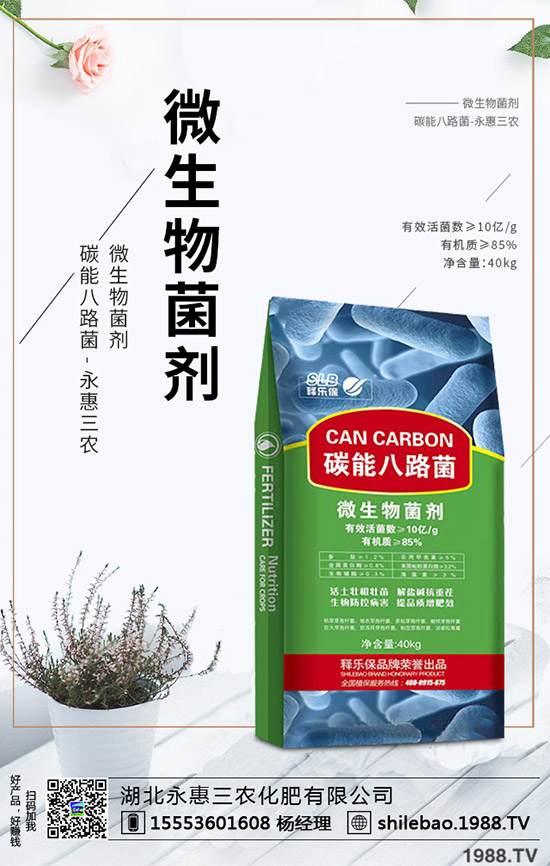     2020年野菜種植賺錢么？一畝能掙多少錢？種植效益如何？