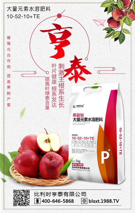 白菜多少錢(qián)一斤？2020年種植前景怎么樣？	