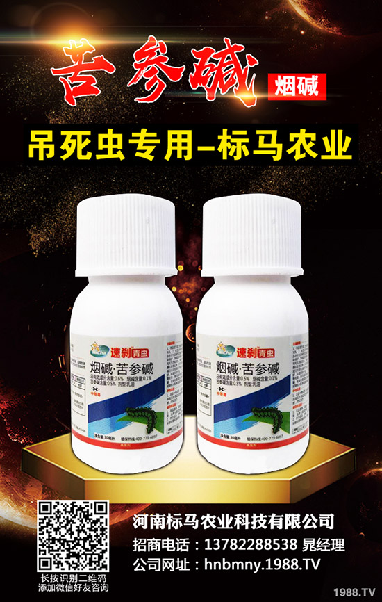 辣椒蚜蟲的危害癥狀及發(fā)病條件，辣椒有哪些防治方法？