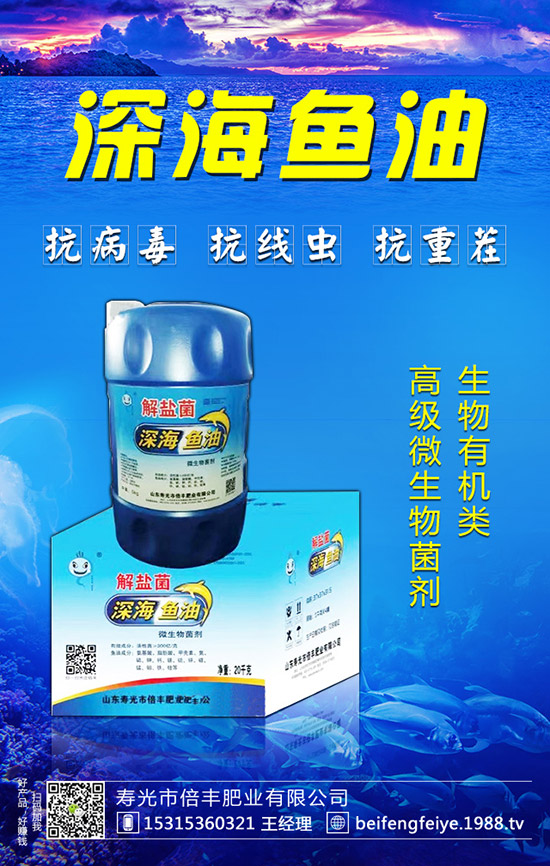 黑枸杞的種植方法，黑枸杞的種植前景