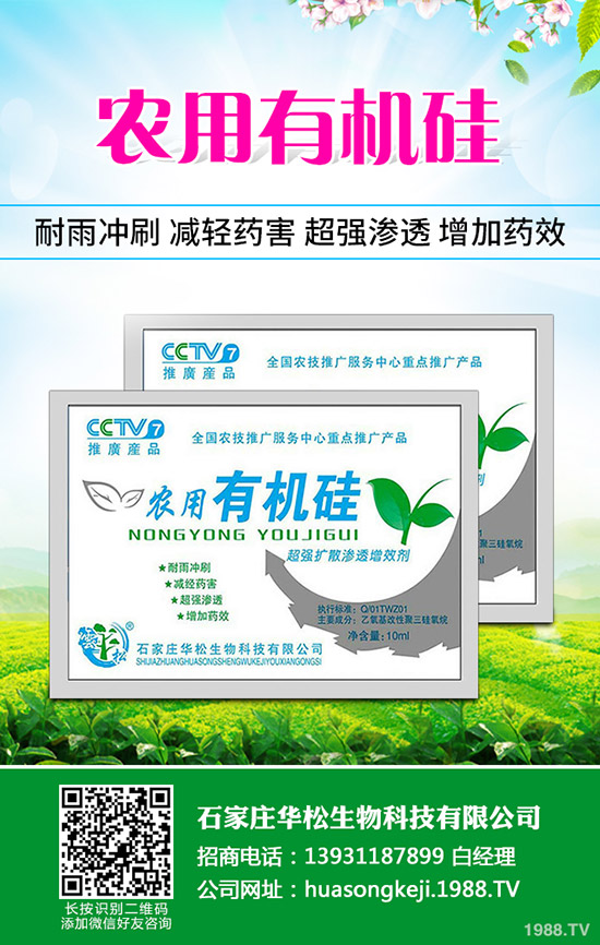 �ʲݵķNֲ��������Щ���ʲݷNֲ��Ҫʲô�ӭh(hu��n)����