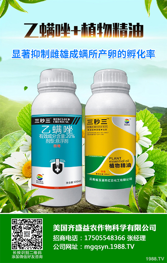 ����������x���r��