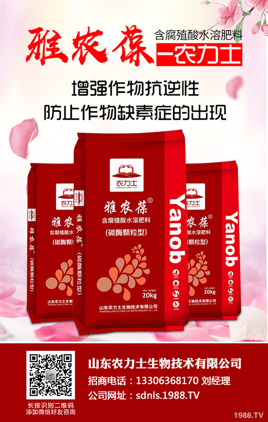 冬儲(chǔ)未開始!二銨行情未定!今日二銨最新出廠參考價(jià)格2019-11-5