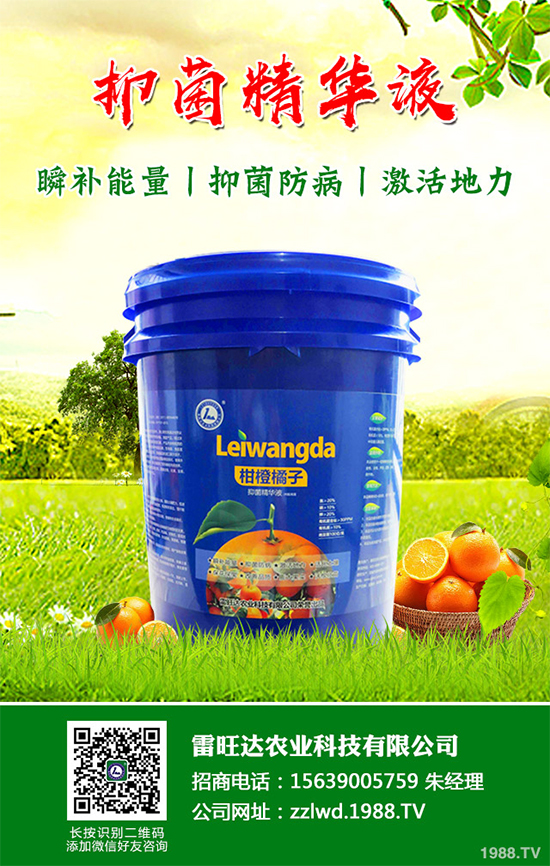 長(zhǎng)期低溫寡照，蔬菜長(zhǎng)勢(shì)差該如何解決？冬季大棚補(bǔ)光的幾項(xiàng)措施