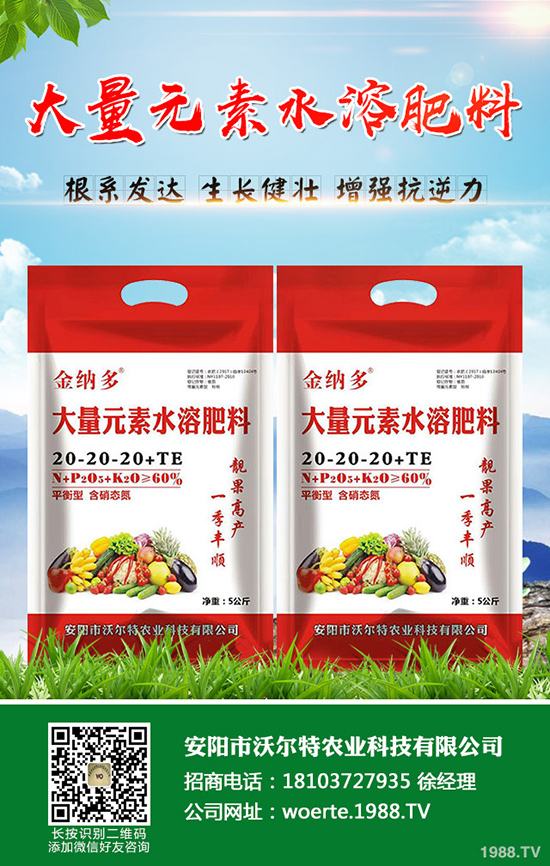 ������ô�N�����۷NֲҪ������Щ��