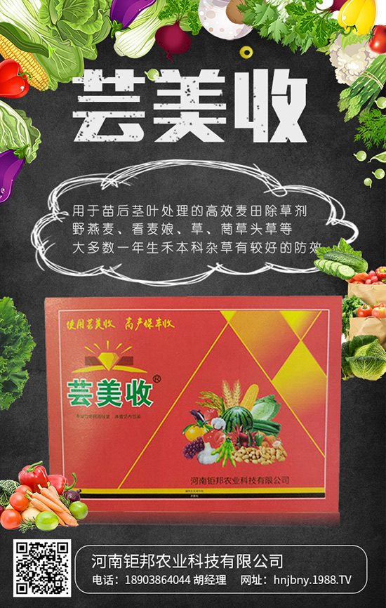 ����⠰��r(n��ng)�I(y��)�Ƽ����޹�˾1