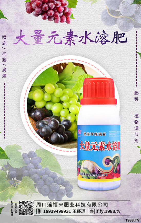 ���Ҵ�������ԓ�����������������߮a(ch��n)���༼�g(sh��)