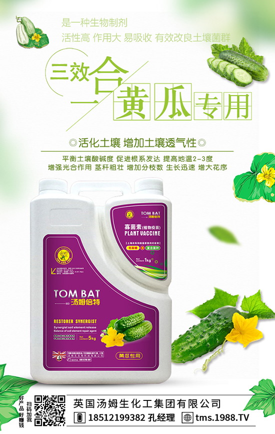 �S�������ķ���