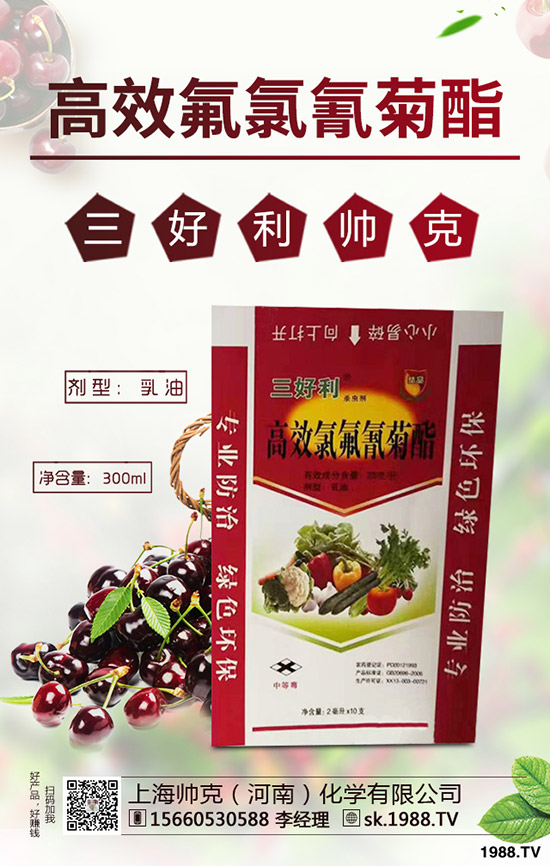 蒜黃一般是什么時間播種，蒜黃的種植技巧有哪些？