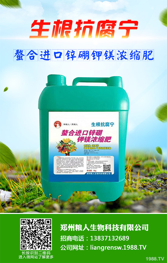 洋薊有哪些營養(yǎng)價值？洋薊的營養(yǎng)價值及功效作用