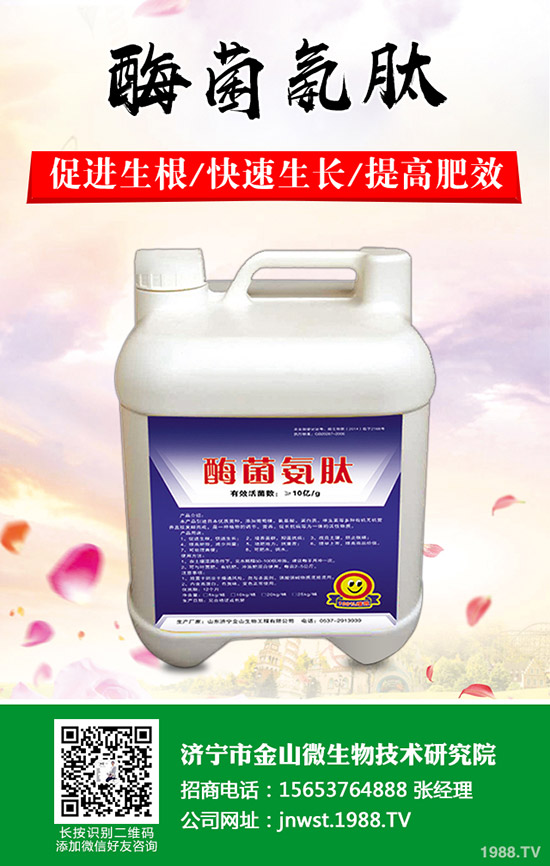 ���Ә�(sh��)��ô�޼������Ә�(sh��)���޼���������Щ����