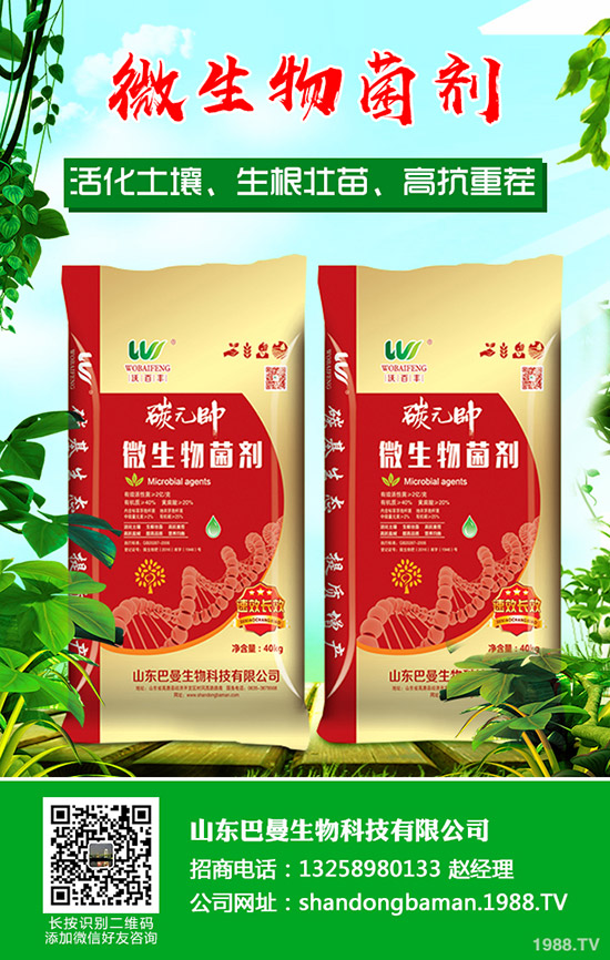     2020年春姜什么時(shí)間種植？春姜種多少錢一斤？姜種選購(gòu)技巧！