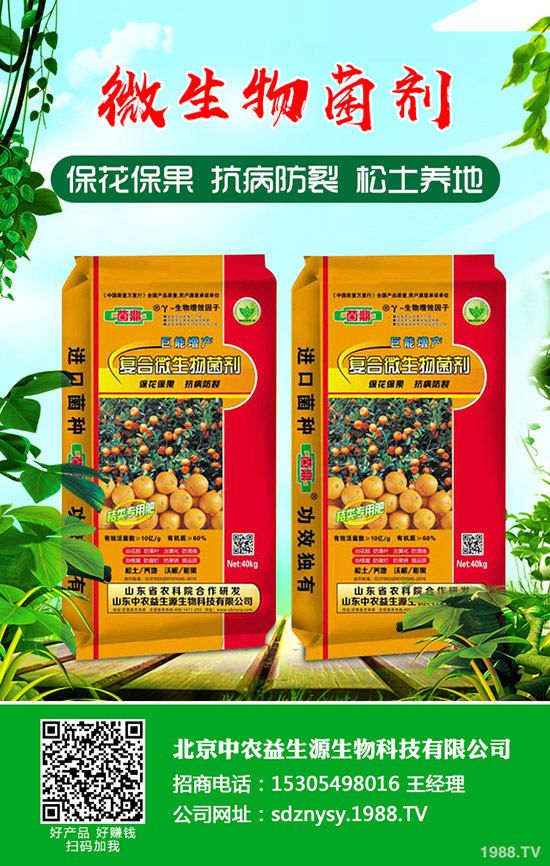     二銨冬儲(chǔ)何時(shí)打破僵局！2019-12-13磷酸二銨行情走勢(shì)預(yù)測(cè)！