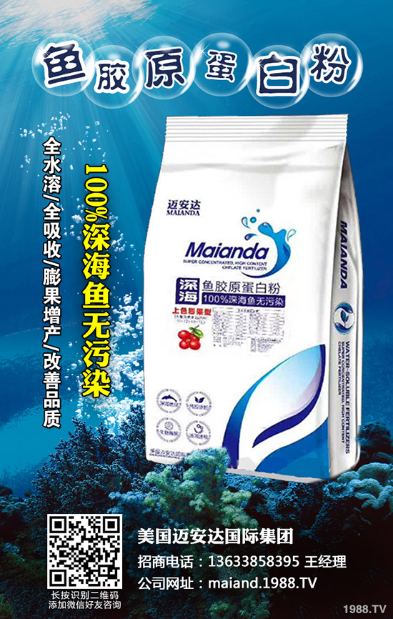     2020年柑橘苗價格多少錢一棵？柑橘種植前景怎么樣？賺錢么？