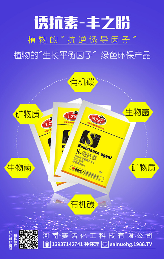 �׷ʡ����p���b�e����e�Ϯ�