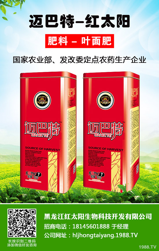 菠蘿種植多久結(jié)果？一年結(jié)幾次果？菠蘿種植方法！