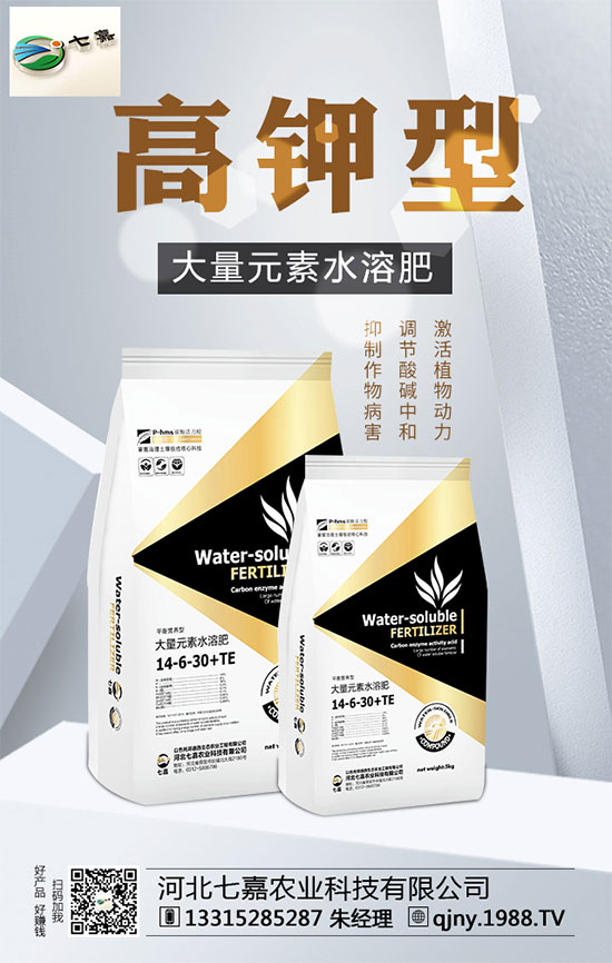 山藥價(jià)格多少錢一斤？2020年山藥種植前景分析！